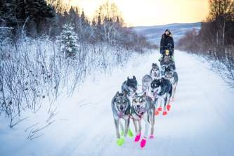 Fairbanks winter Whitney Mc Laren 4086