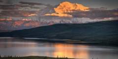 Denali National Park Main