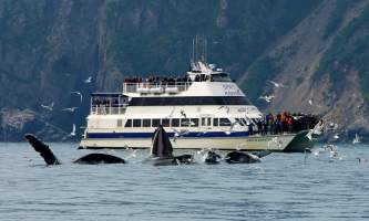 Alaska trip ideas whittier DSC 8367 Version 6 Kenai Fjords National Park Tour