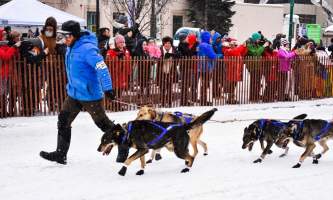 Iditarod ceremonial start alaska ultimate iditarod winter wonderland escorted tour 980