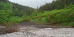 Victor Creek Trail