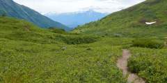 Fishhook Trailhead