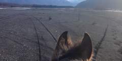 Knik River Bridge West