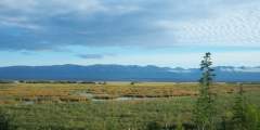 Palmer Hay Flats State Game Refuge