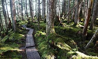 Haystack-Trail-01-mxq67g