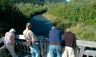 Williwaw-Campground-Williwaw_Cground_RSK_001-paoqsn