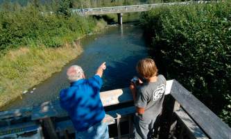 Williwaw-Campground-Williwaw_Cground_RSK_002-paoqss