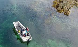 Geographic-marine-expeditions-8725eb6c-e3da-4032-96ee-151247595274-p4mkjv