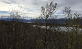 Maud-road-lakes-trail IMG_8338-ov1nuw