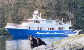 Momma bear paw2024alaska org bearpaw charters