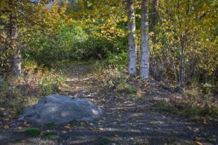 Bear Mountain Trail