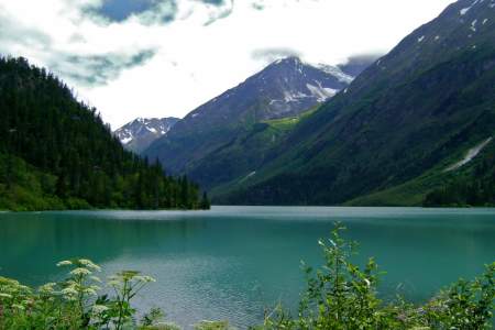 Ptarmigan Creek Trail To Ptarmigan Lake