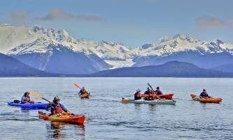 Liz Paddle with Whales