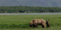 Alaska Ultimate Safaris Adventure Lodge