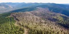 Midnight Sun ATV Tours