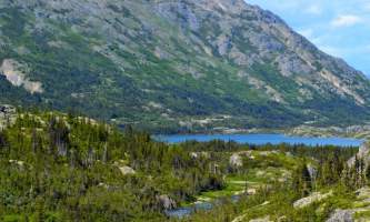 Midnight Sun Excursions lupine tormented valley r2019