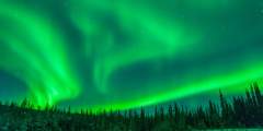 Salmon Berry Tours Northern Lights Excursions