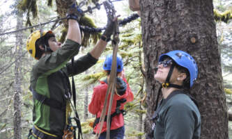 Stoney Creek Canopy Adventures DSC 0138