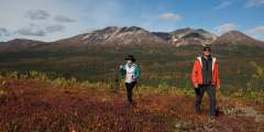 Traverse Alaska