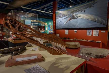 Alaska Museum of Science & Nature