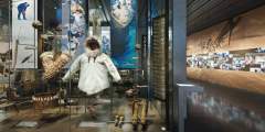 Anchorage museum at rasmussen center ASC2web