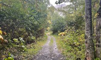 Mcroberts Trail views alaska untitled